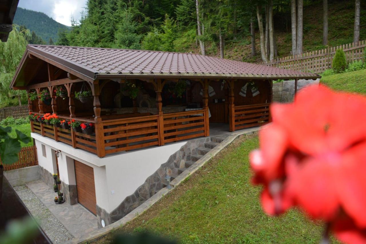 Cabana Cascada Cailor Hotel Borşa Exterior foto