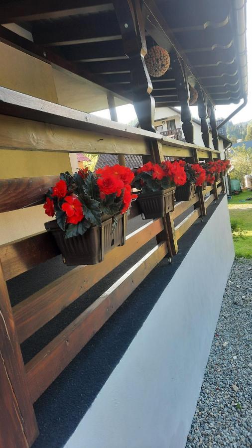 Cabana Cascada Cailor Hotel Borşa Exterior foto